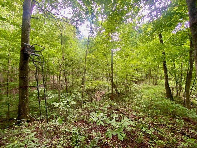 400 Lynn Morgan Road, Seaman, OH 45679 Photo 22