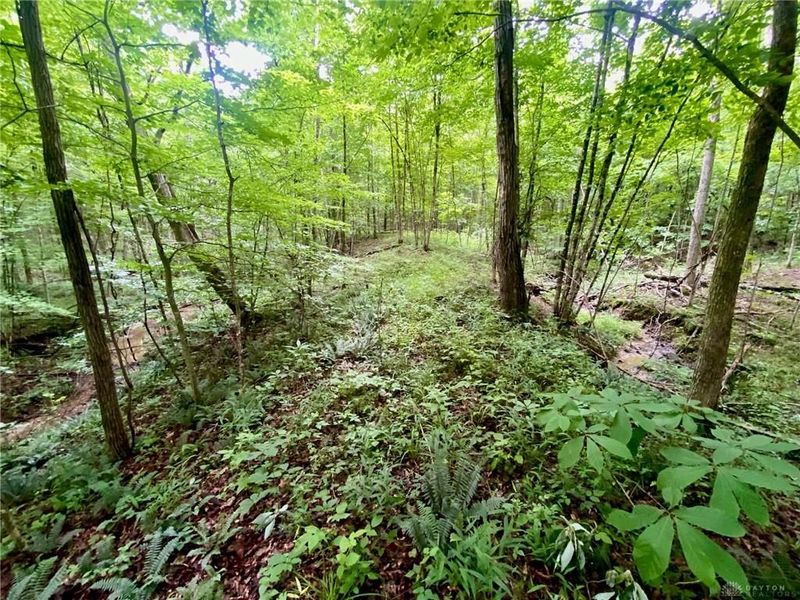 400 Lynn Morgan Road, Seaman, OH 45679 Photo 23