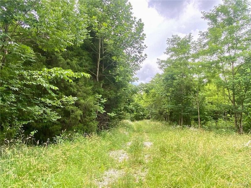 400 Lynn Morgan Road, Seaman, OH 45679 Photo 4
