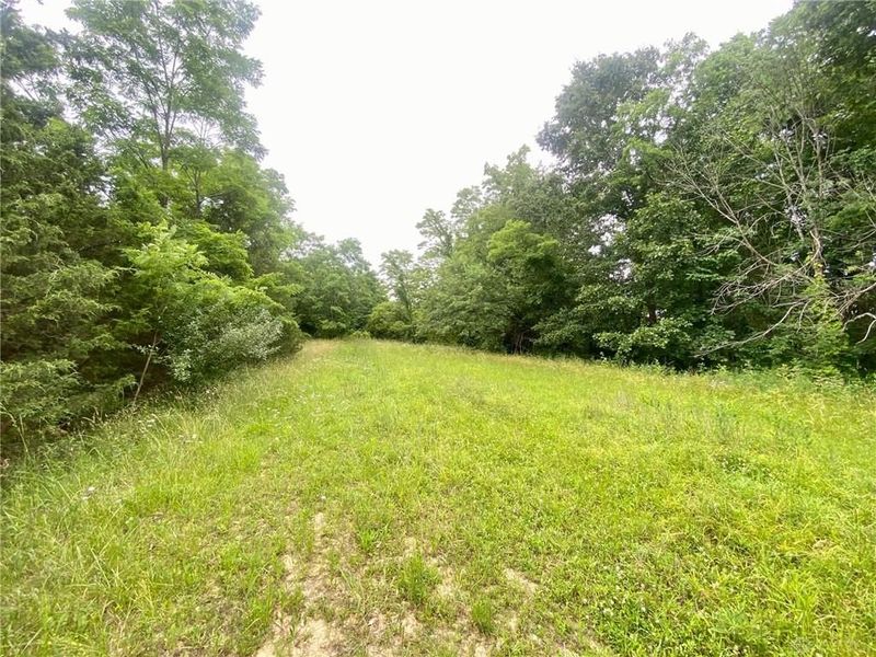 400 Lynn Morgan Road, Seaman, OH 45679 Photo 7