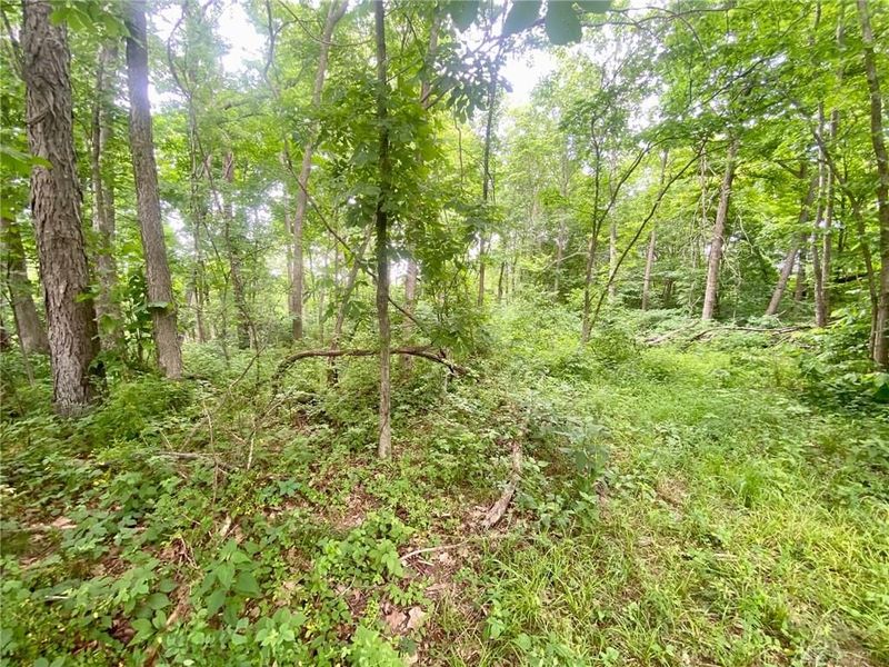 400 Lynn Morgan Road, Seaman, OH 45679 Photo 8