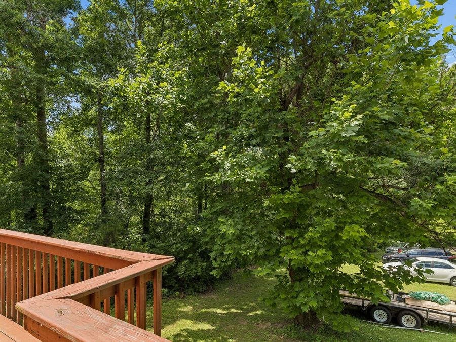 Property Image 58