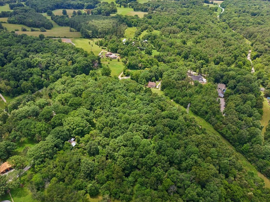 Property Image 63