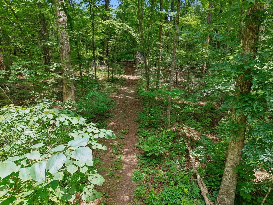 Property Image 66