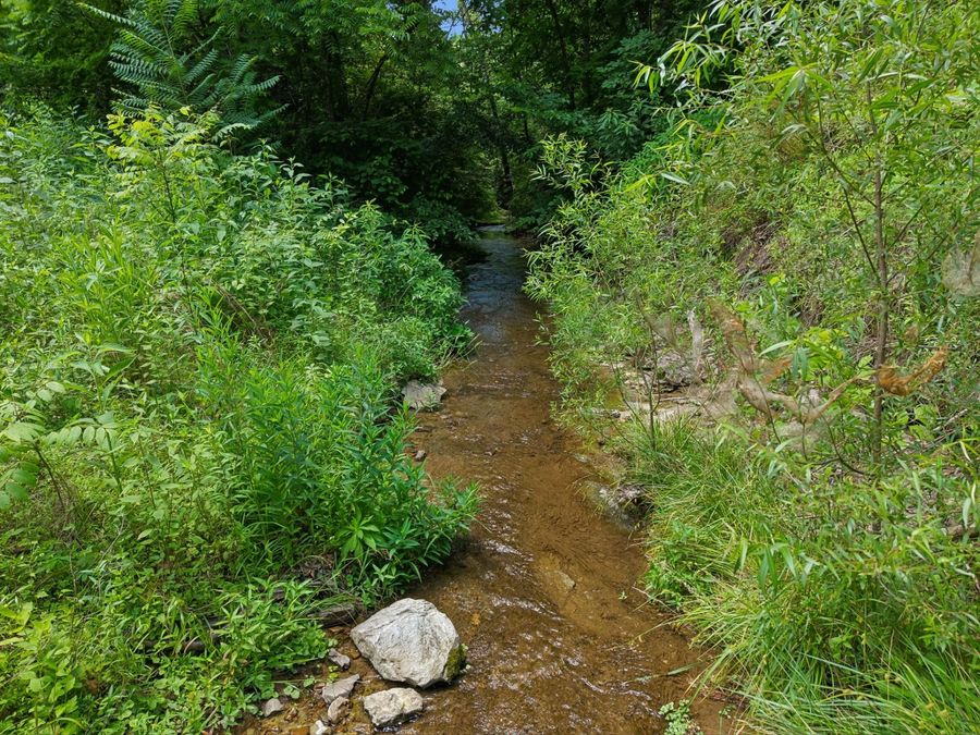 Property Image 70