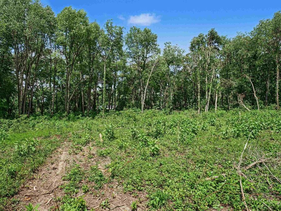 Property Image 8