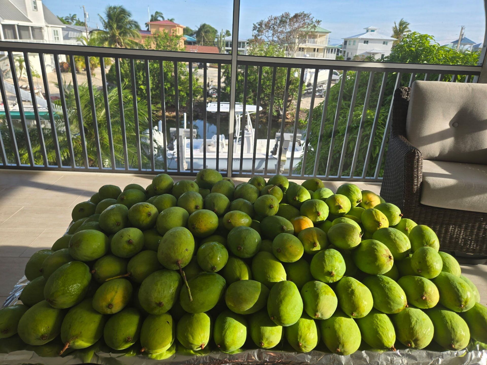 29162 Bougainvillea Lane, Big Pine Key, FL 33043 Photo