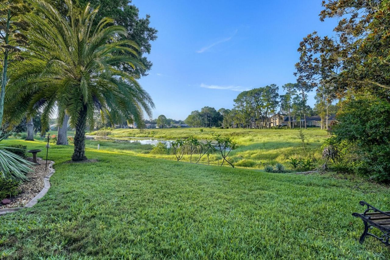 11330 Tee Time Circle , New Port Richey, FL 34654 Photo