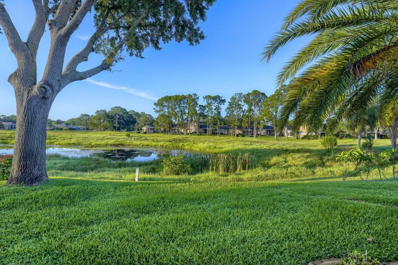 11330 Tee Time Circle , New Port Richey, FL 34654 Photo