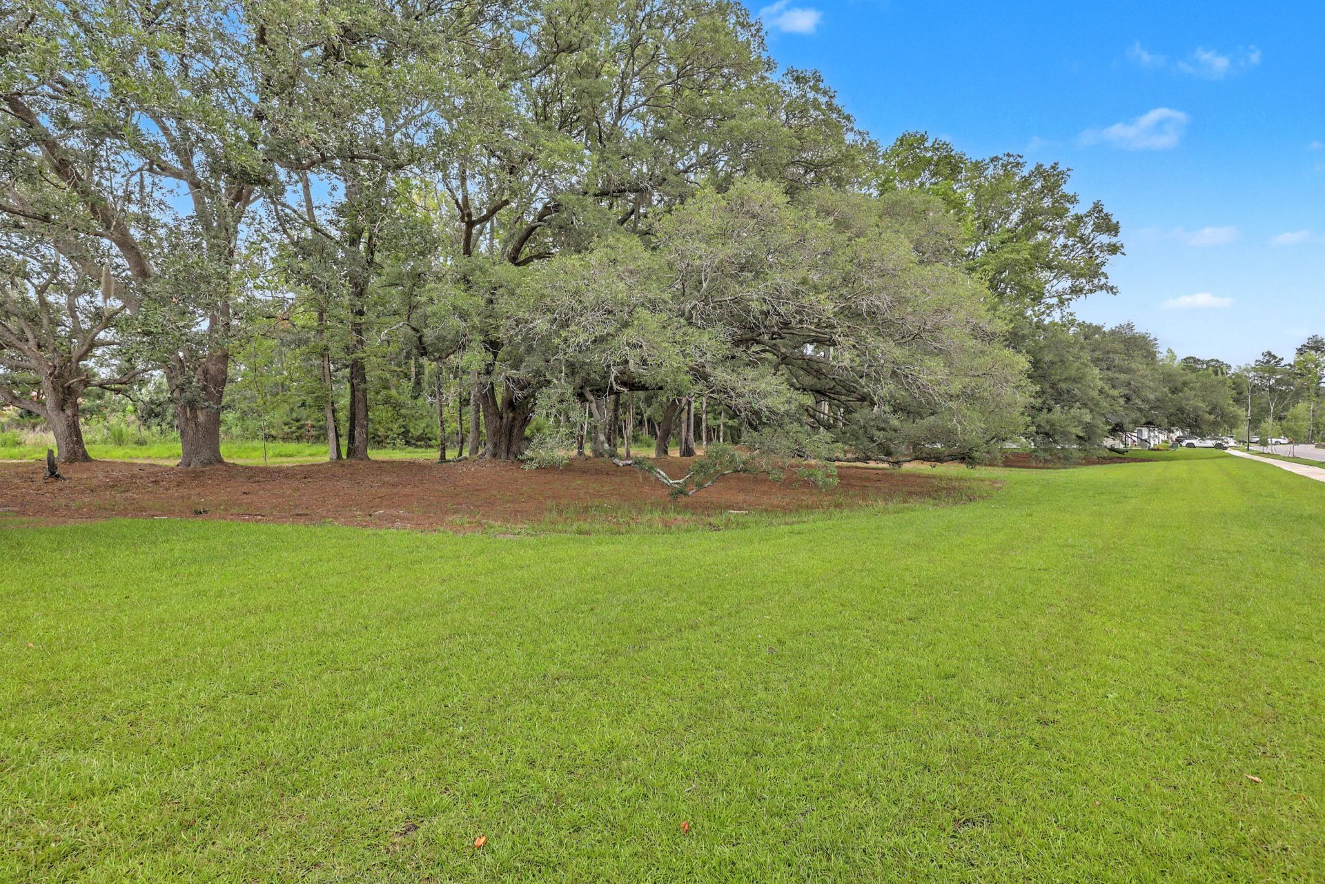 411 Cropfield Drive Photo 7