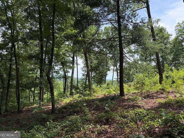 LOT 20 Lake Top Lane, Unit 20, Ellijay, GA 30540