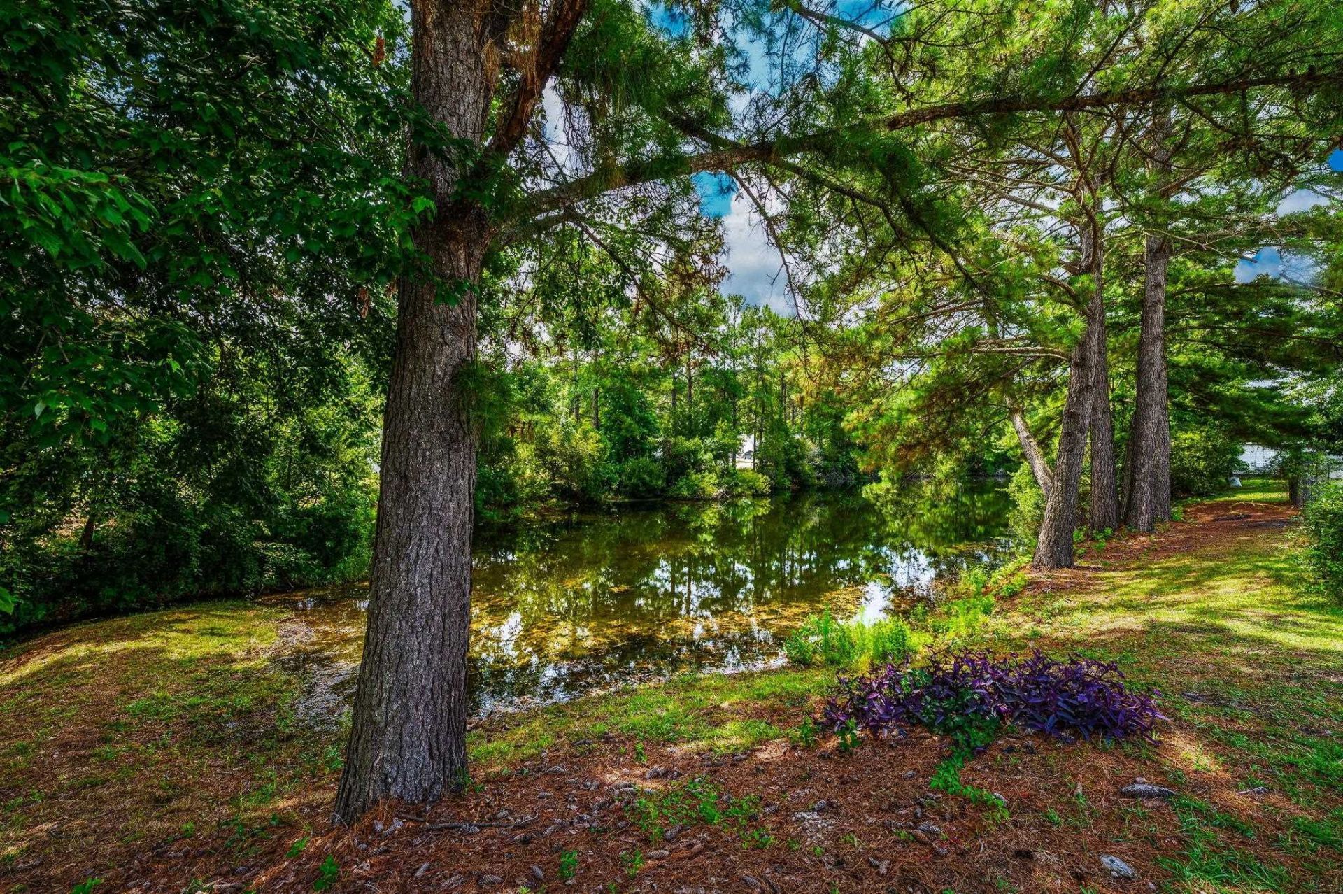 1001 Chateau Dr. Photo 18