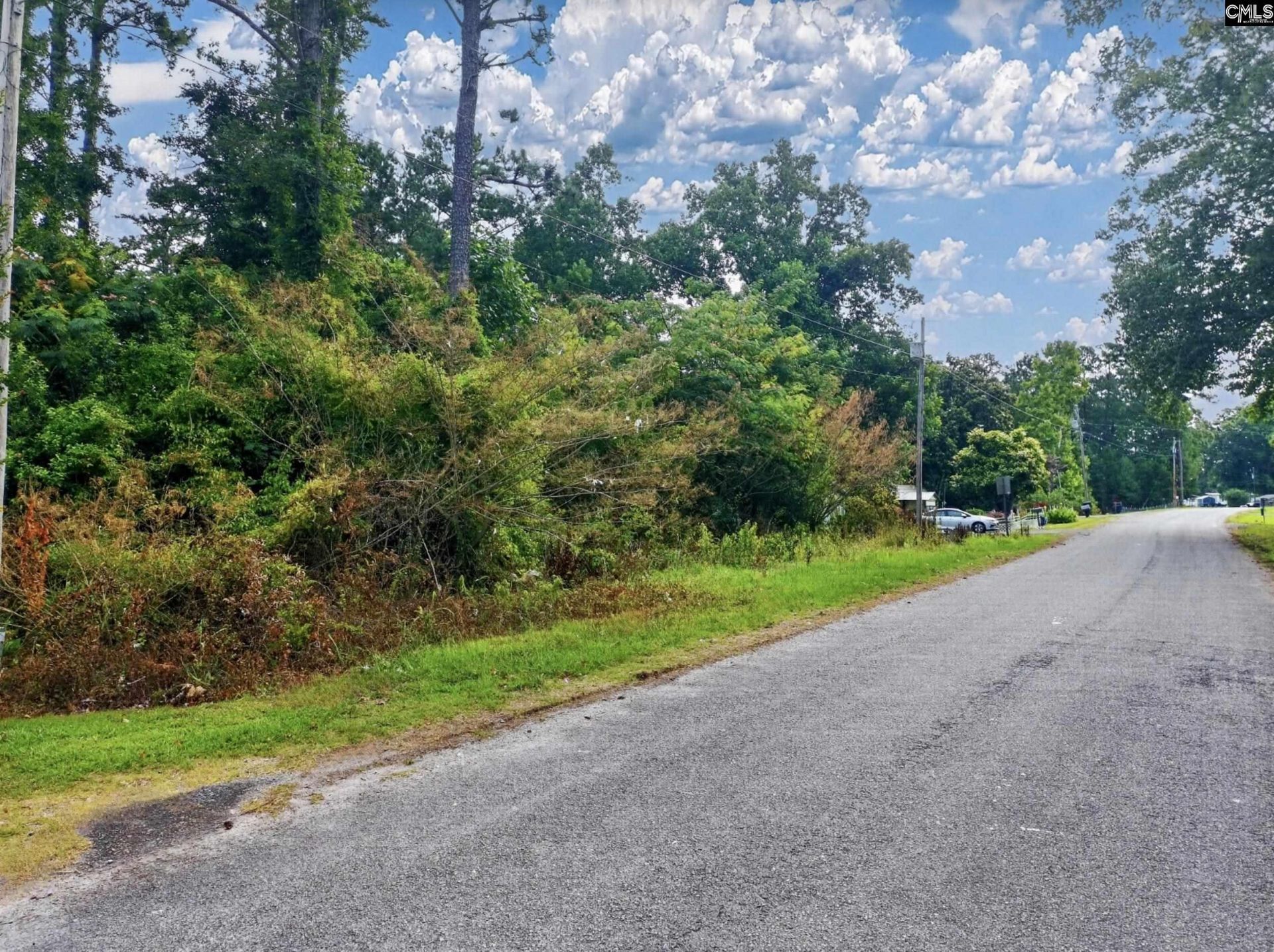 1175 Tailers Trail  Photo 16