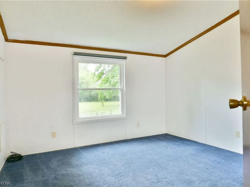826 Bristol Champion Townline Road NE, Bristolville, OH 44402 Photo 28