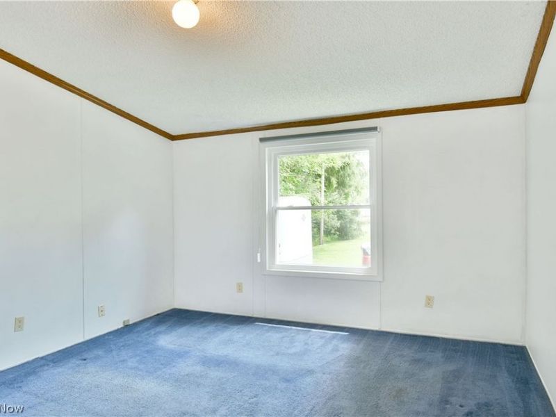 826 Bristol Champion Townline Road NE, Bristolville, OH 44402 Photo 33