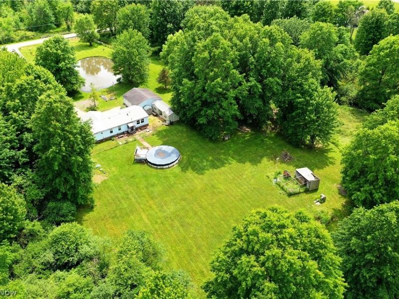 826 Bristol Champion Townline Road NE, Bristolville, OH 44402 Photo 46