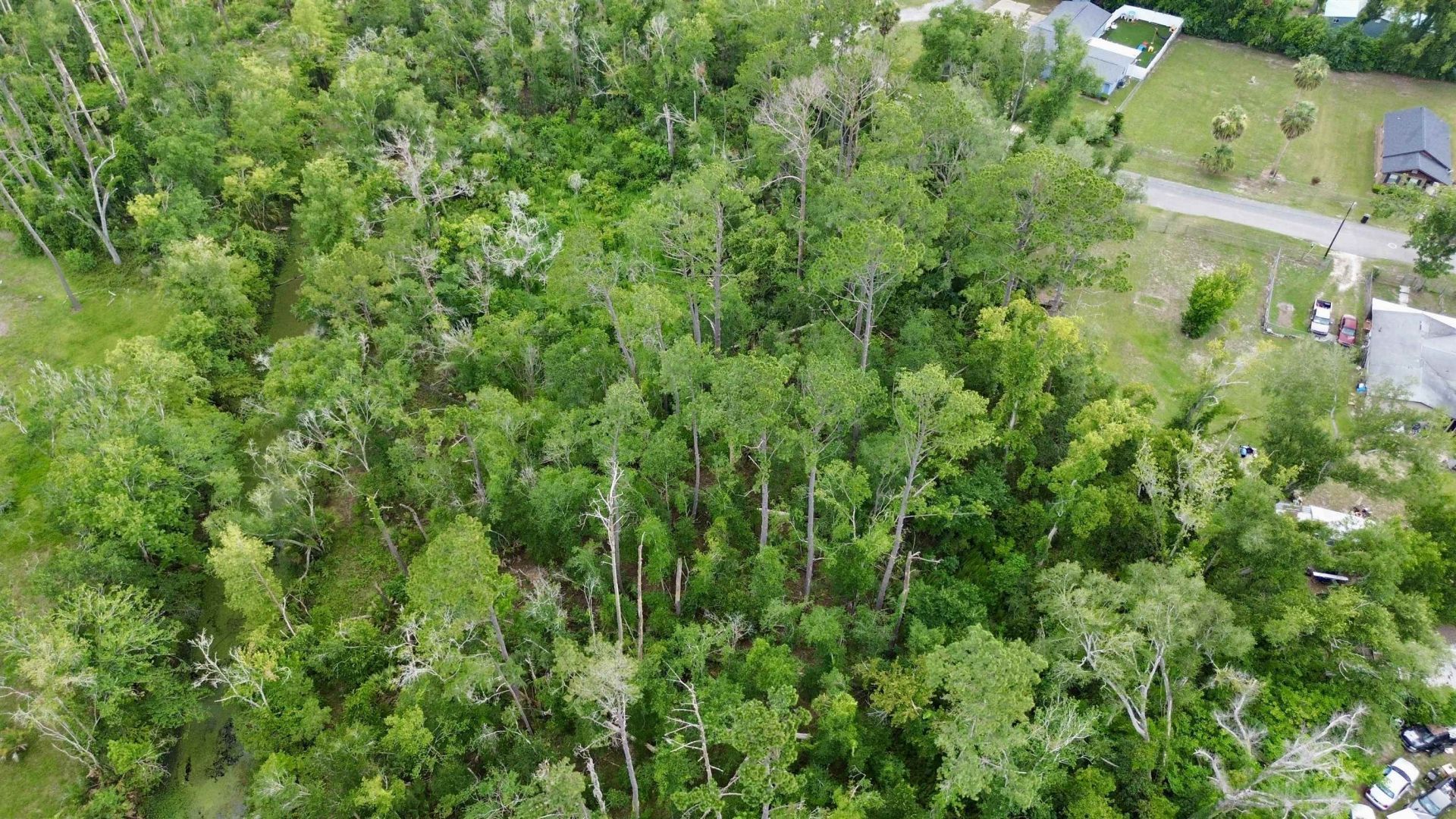 00 Calhoun St. , Perry, FL 32348 Photo