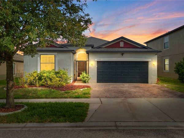 10222 CELTIC ASH DRIVE , RUSKIN, FL 33573