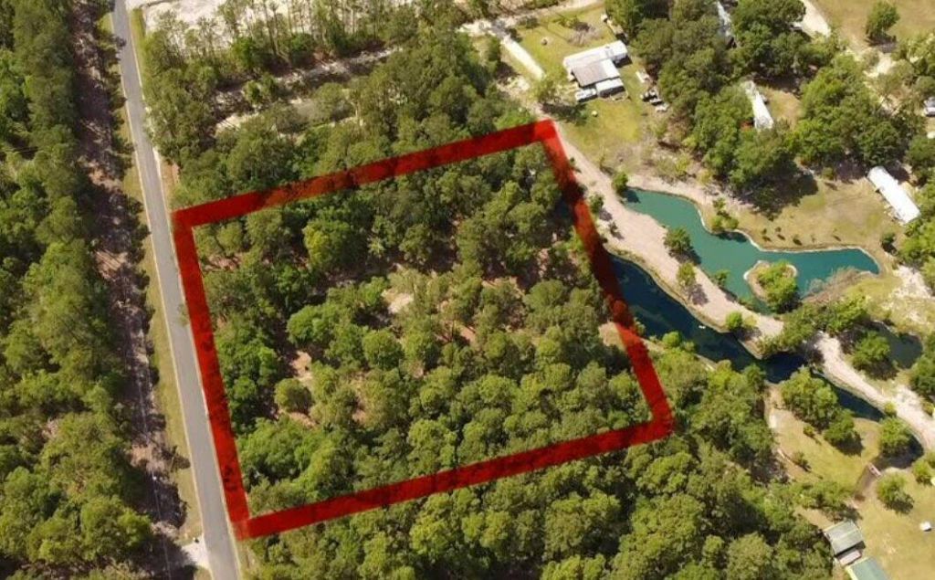 3452 Cypress Pond Road Photo 1