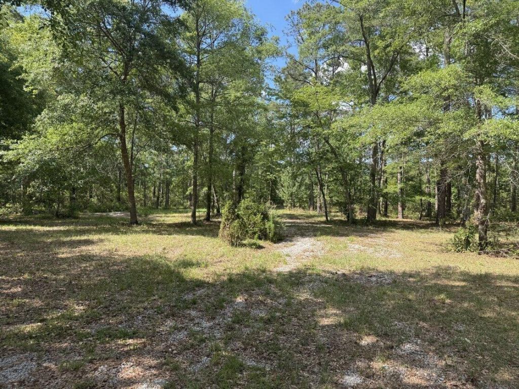 3452 Cypress Pond Road Photo 3