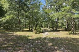 3452 Cypress Pond Road photo 4