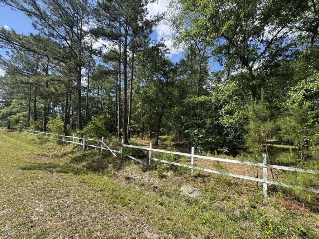 3452 Cypress Pond Road Photo 4