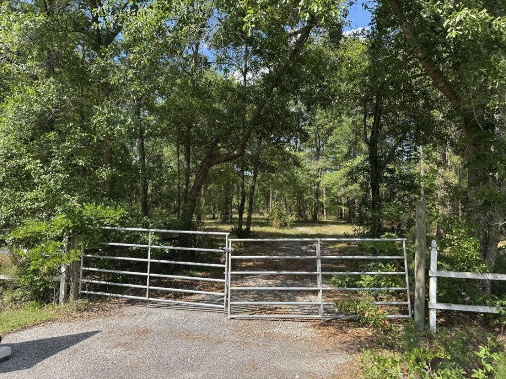 3452 Cypress Pond Road Photo 5