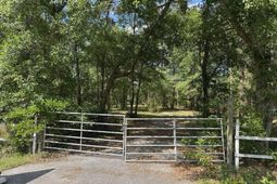 3452 Cypress Pond Road photo 4