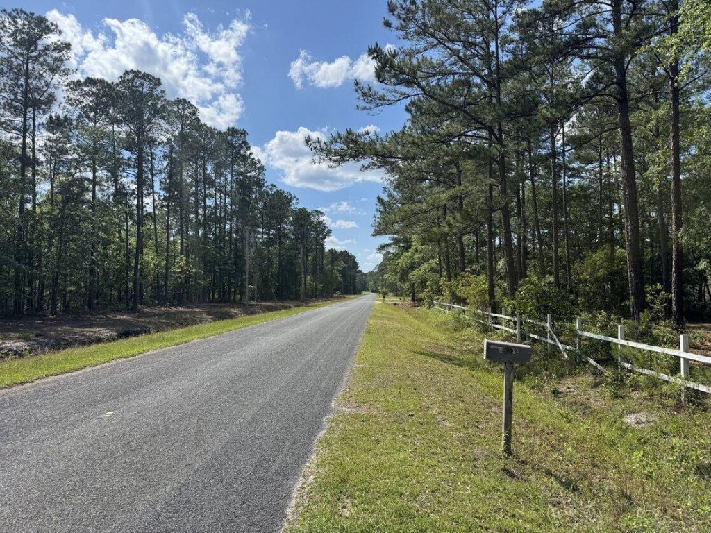 3452 Cypress Pond Road Photo 6