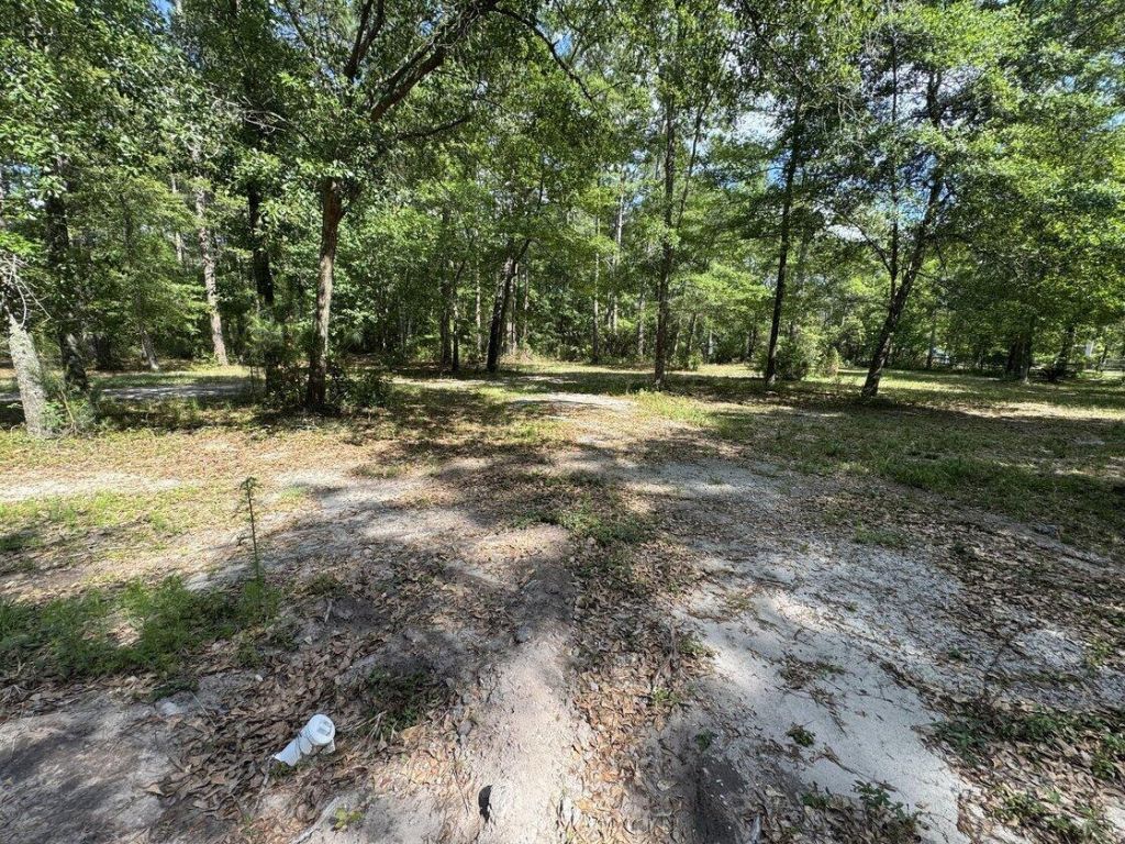 3452 Cypress Pond Road Photo 7