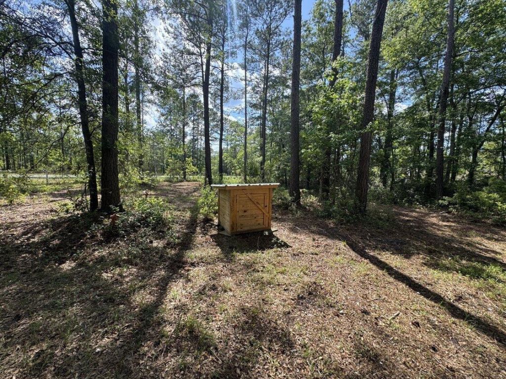 3452 Cypress Pond Road Photo 8