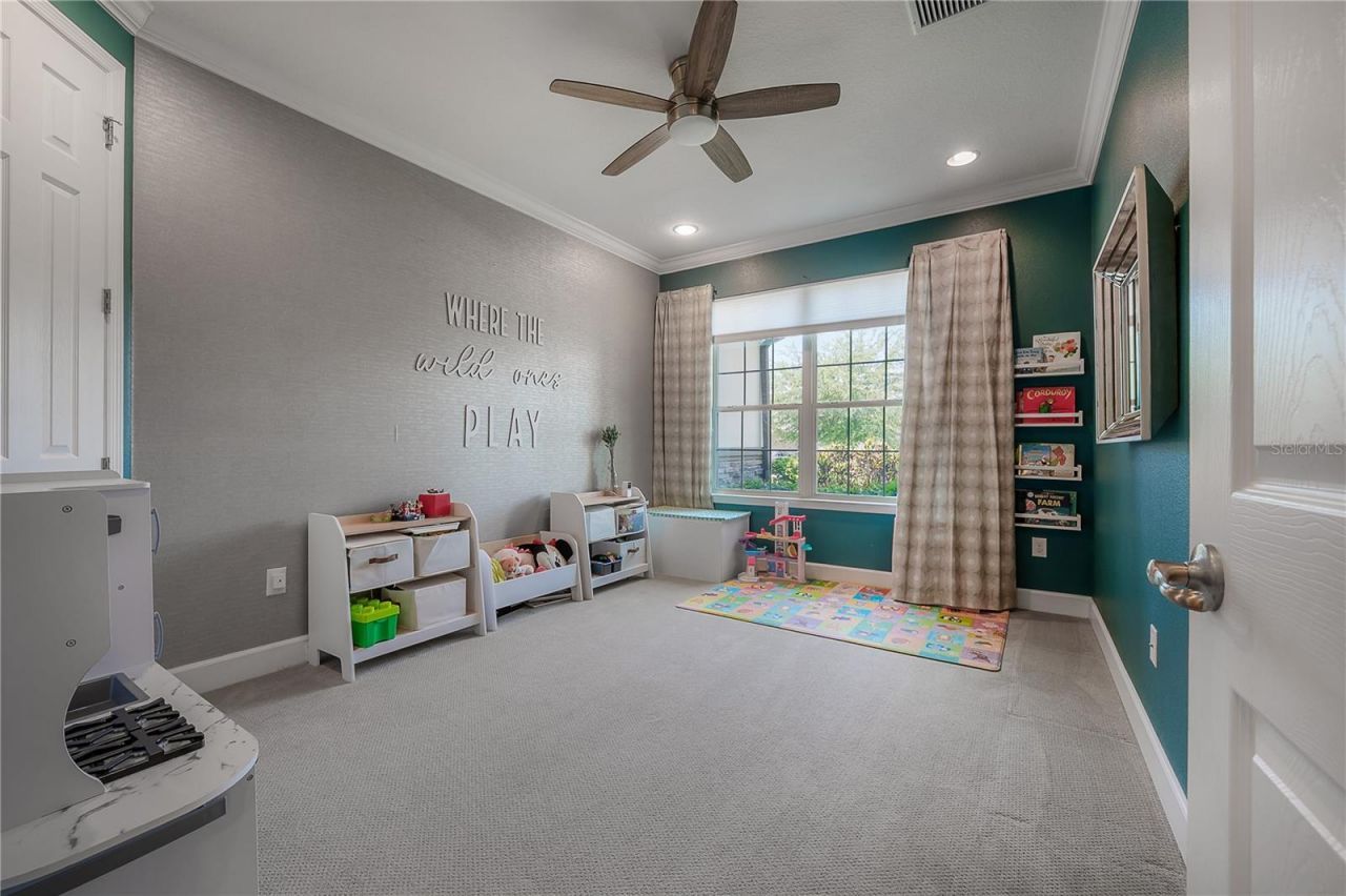 10404 Alcon Blue Drive, Riverview, FL 33578 Photo