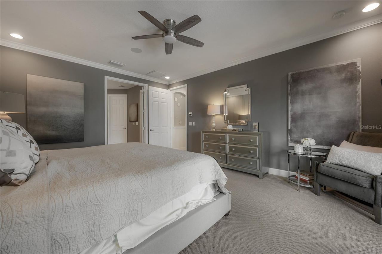 10404 Alcon Blue Drive, Riverview, FL 33578 Photo