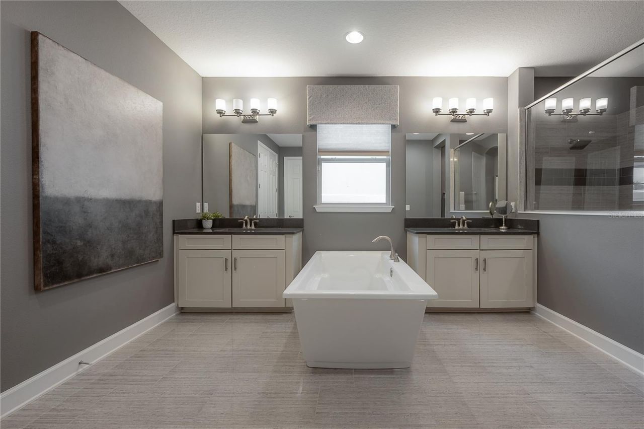 10404 Alcon Blue Drive, Riverview, FL 33578 Photo