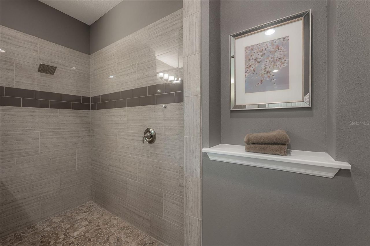 10404 Alcon Blue Drive, Riverview, FL 33578 Photo