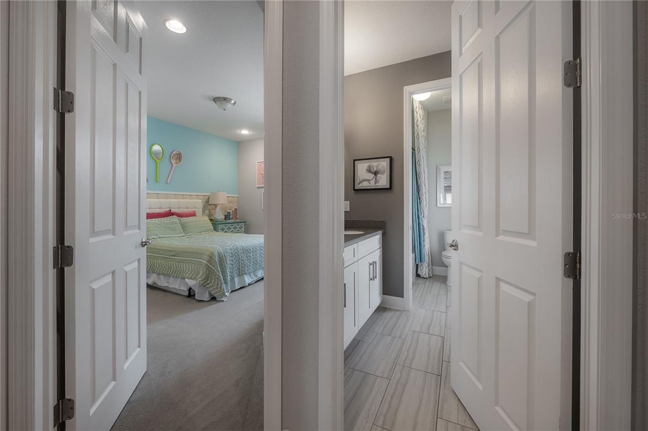 10404 Alcon Blue Drive, Riverview, FL 33578 Photo