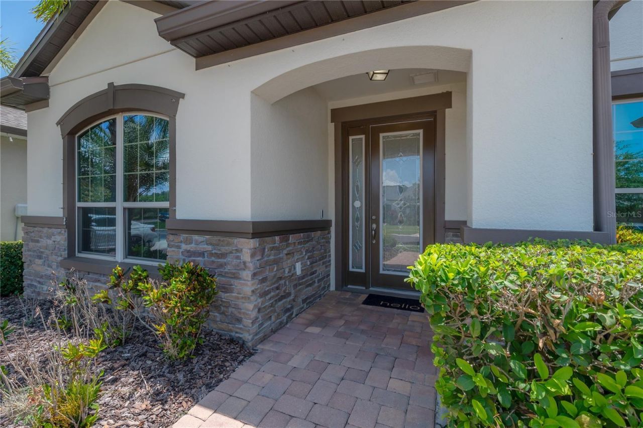 10404 Alcon Blue Drive, Riverview, FL 33578 Photo