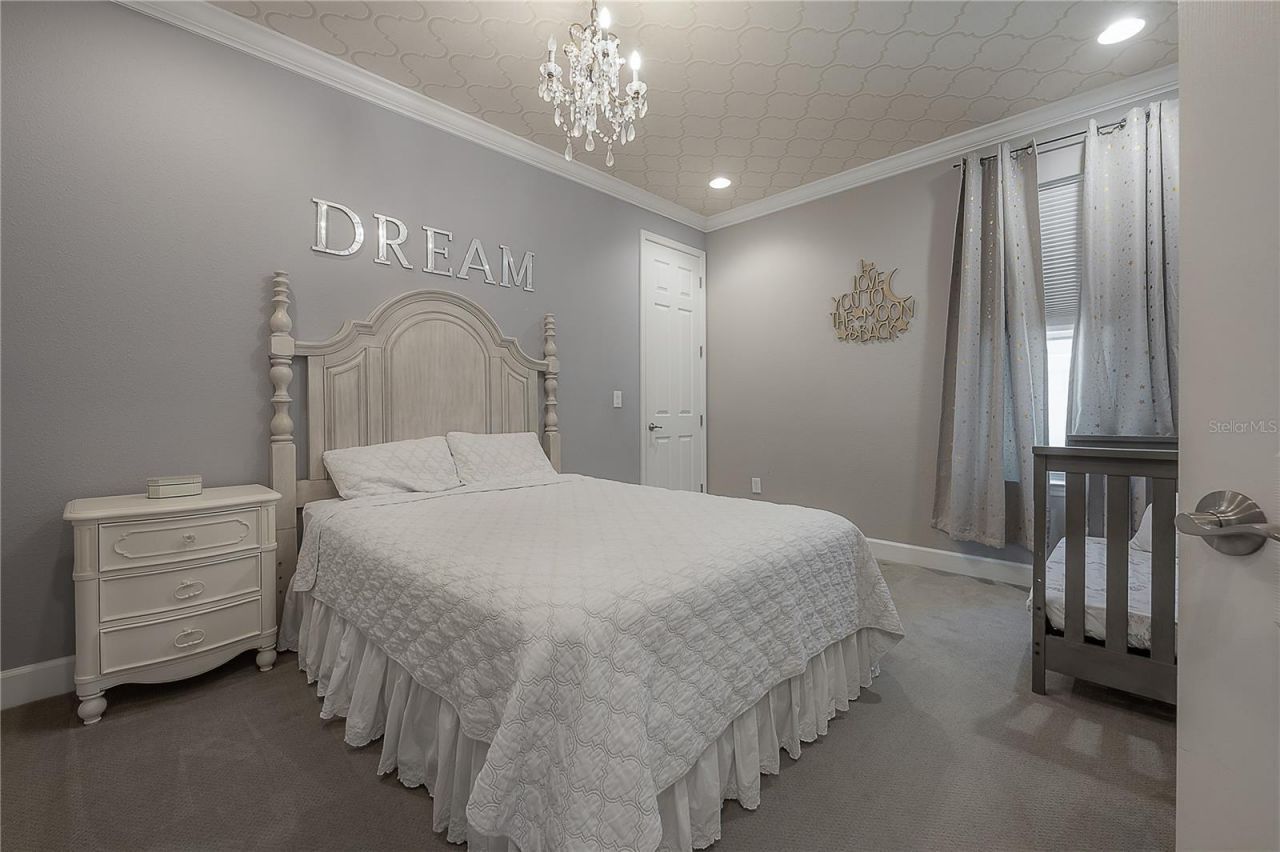 10404 Alcon Blue Drive, Riverview, FL 33578 Photo
