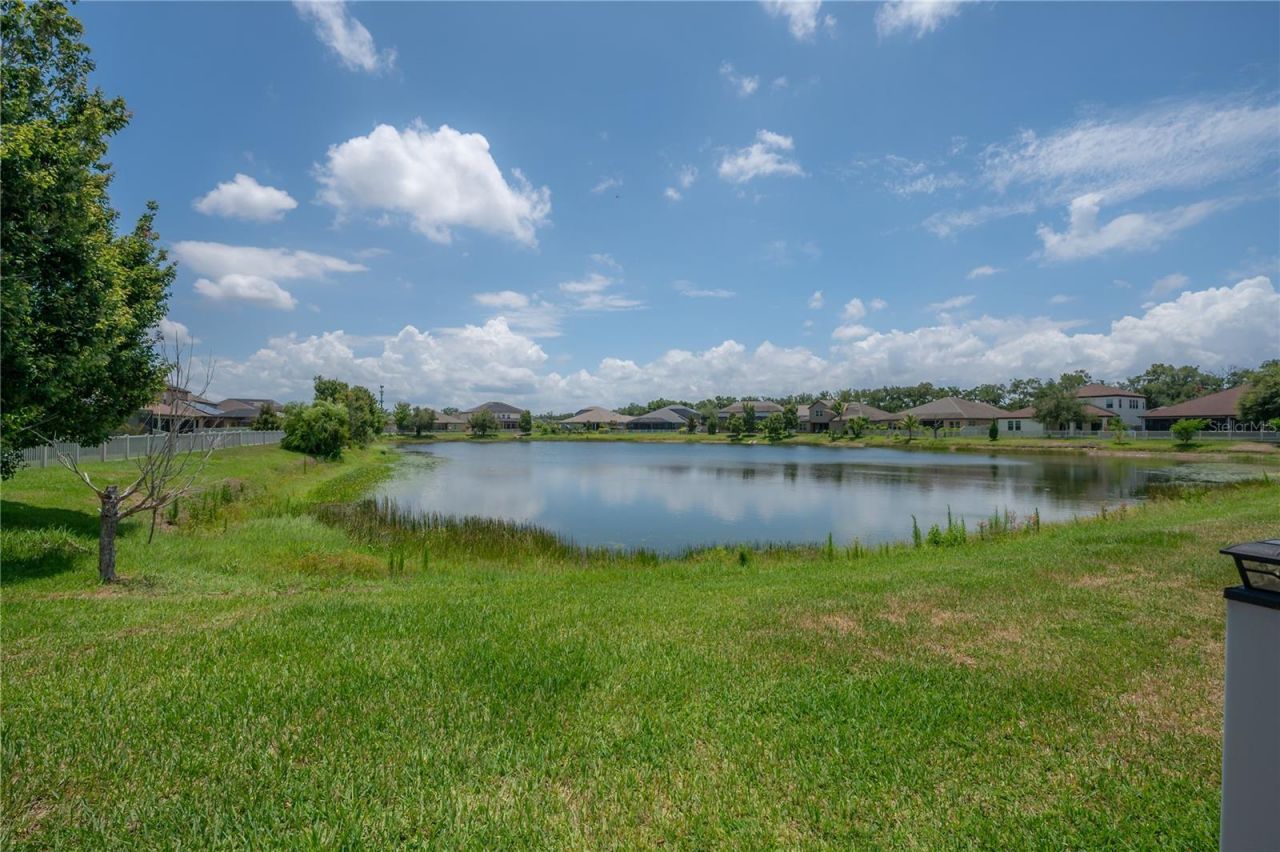 10404 Alcon Blue Drive, Riverview, FL 33578 Photo