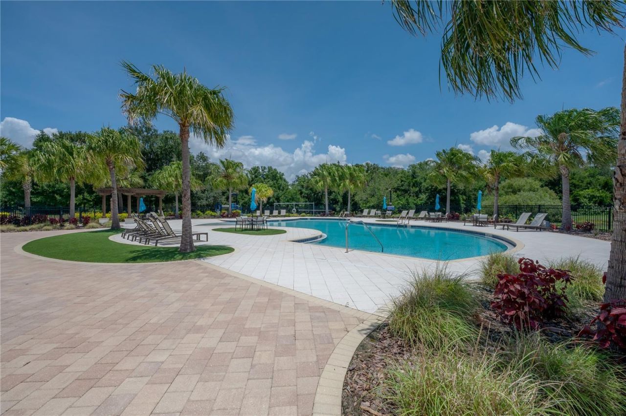 10404 Alcon Blue Drive, Riverview, FL 33578 Photo