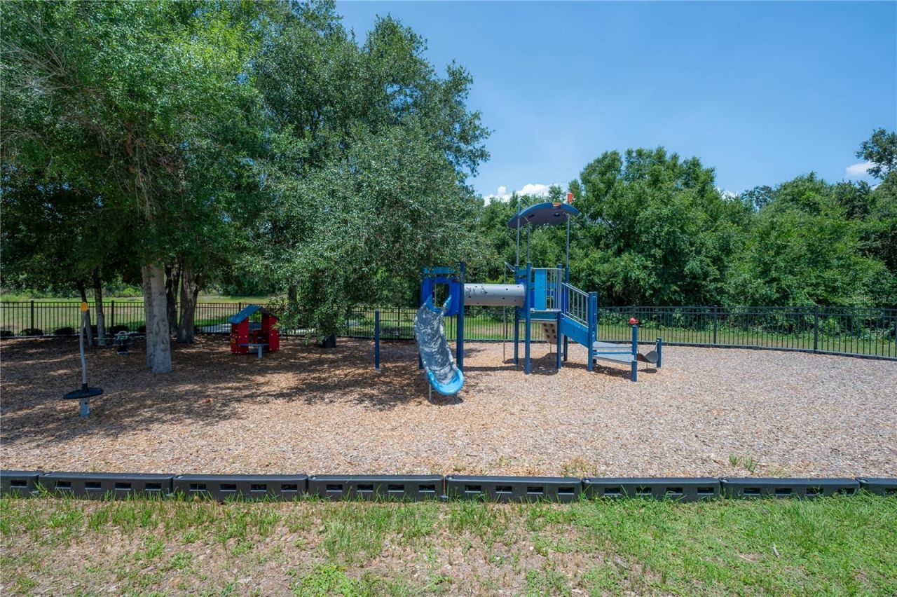 10404 Alcon Blue Drive, Riverview, FL 33578 Photo