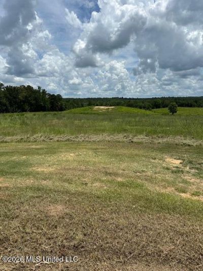 120 Eula Grayson Road, Mendenhall, MS 39114 Main Photo