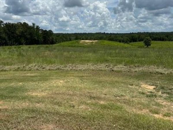 120 Eula Grayson Road, Mendenhall, MS 39114