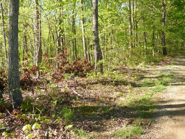 TRACT 9 Dusty LN , Martinsville, VA 24112