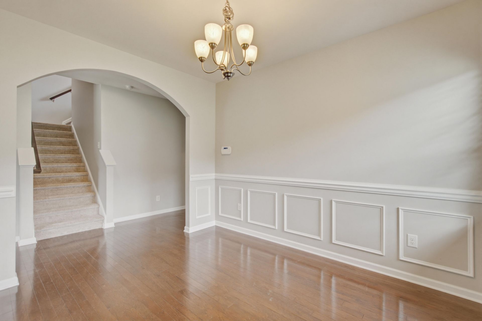 1005 Bald Cypress Drive Photo 11