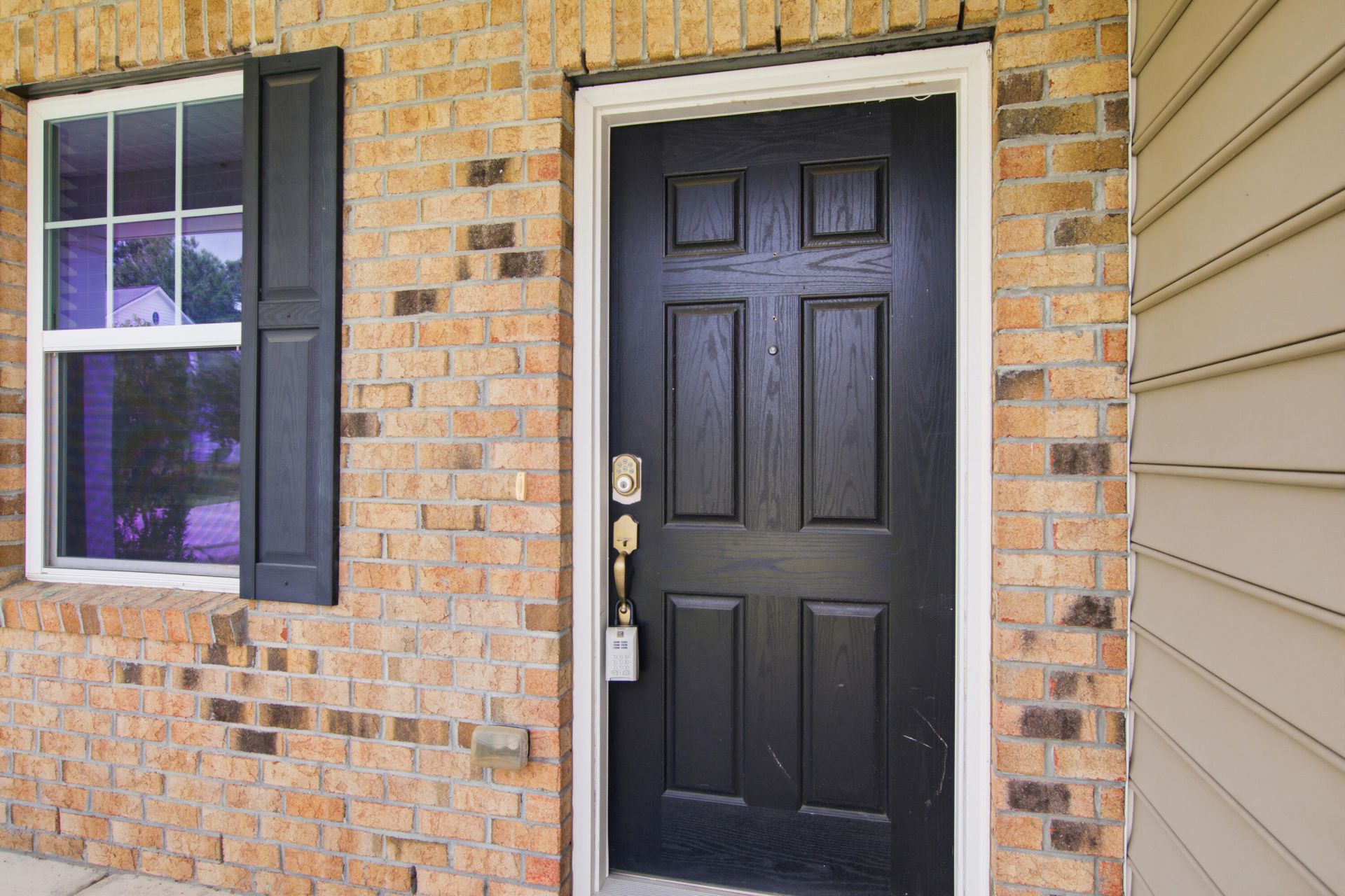 1005 Bald Cypress Drive Photo 4