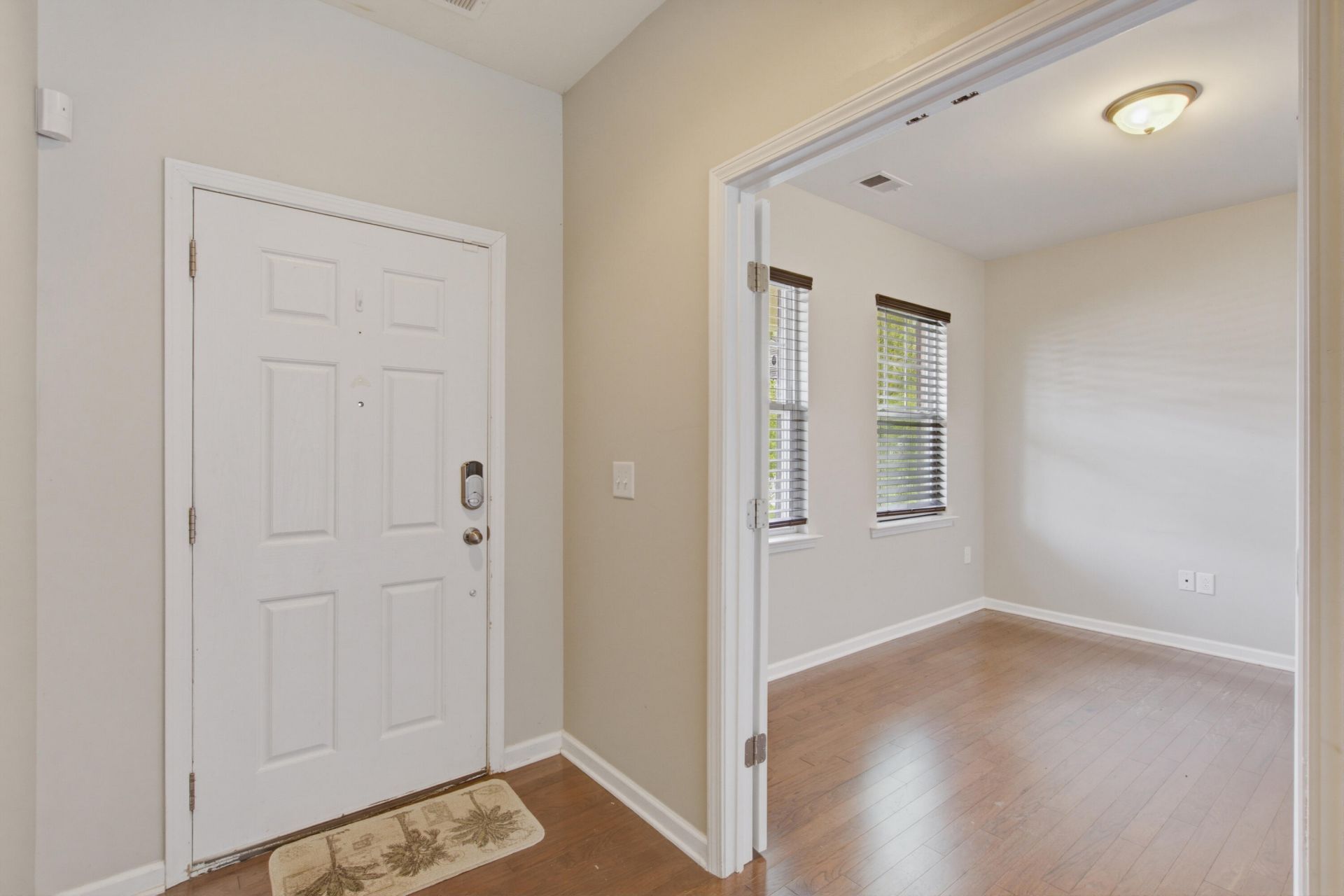 1005 Bald Cypress Drive Photo 5