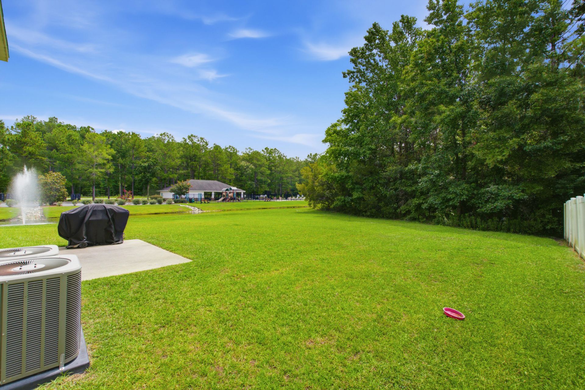 1005 Bald Cypress Drive Photo 54