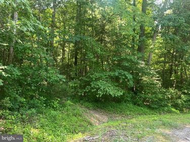 5517 FOREST VIEW DRIVE, PARTLOW, VA 22534
