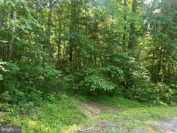 5517 FOREST VIEW DRIVE, PARTLOW, VA 22534